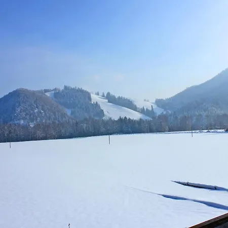 Apartment Ciao-aschau Gschwendtnerhof Ap16 Bunk Aschau im Chiemgau